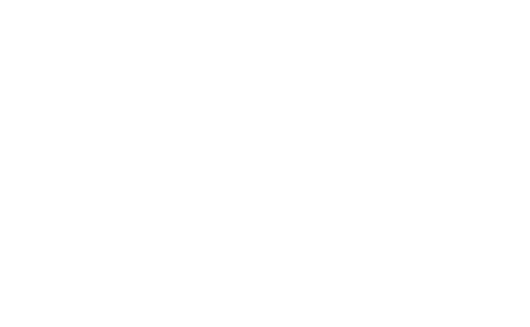 Portal IEPNB