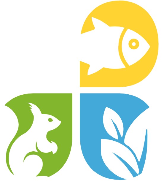 Descripción de la imagen