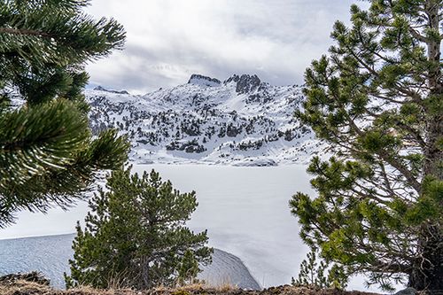 Descripción de la imagen