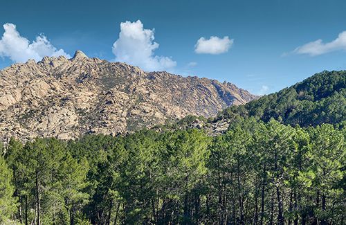 Descripción de la imagen