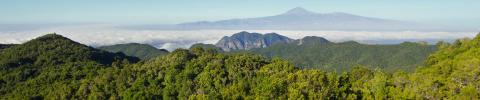 imagen Sistemas de Indicadores del Patrimonio Natural y de la Biodiversidad (SIPNAP)