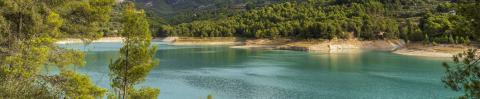 pantano