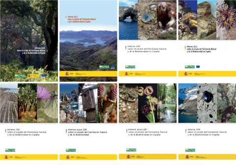 Compilation image of annual reports