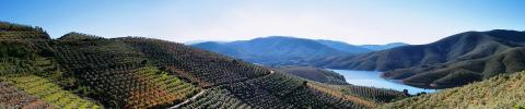 paisaje de montaña con campos de sembrado en sus laderas